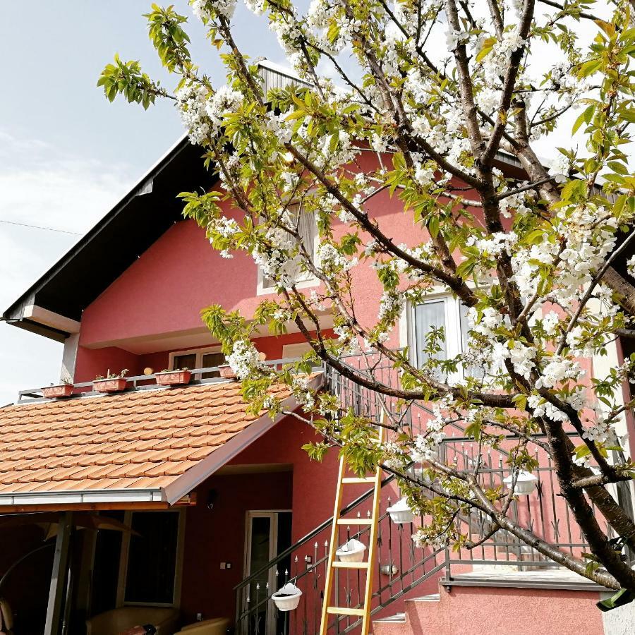 Apartments "Predah Kod Baraca" Nis Luaran gambar